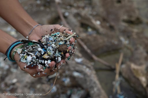 GP0STSKOK_Low res with credit line (800px)