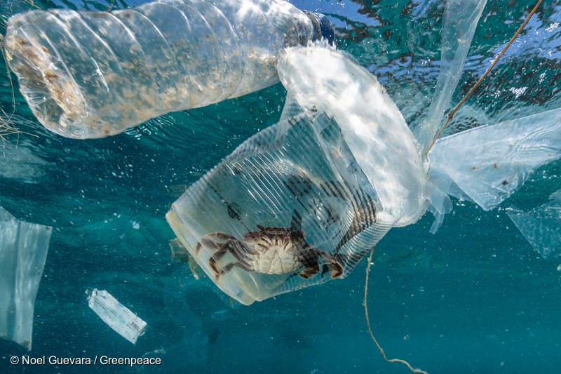 GP0STT3FE_Low res with credit line (800px)-1