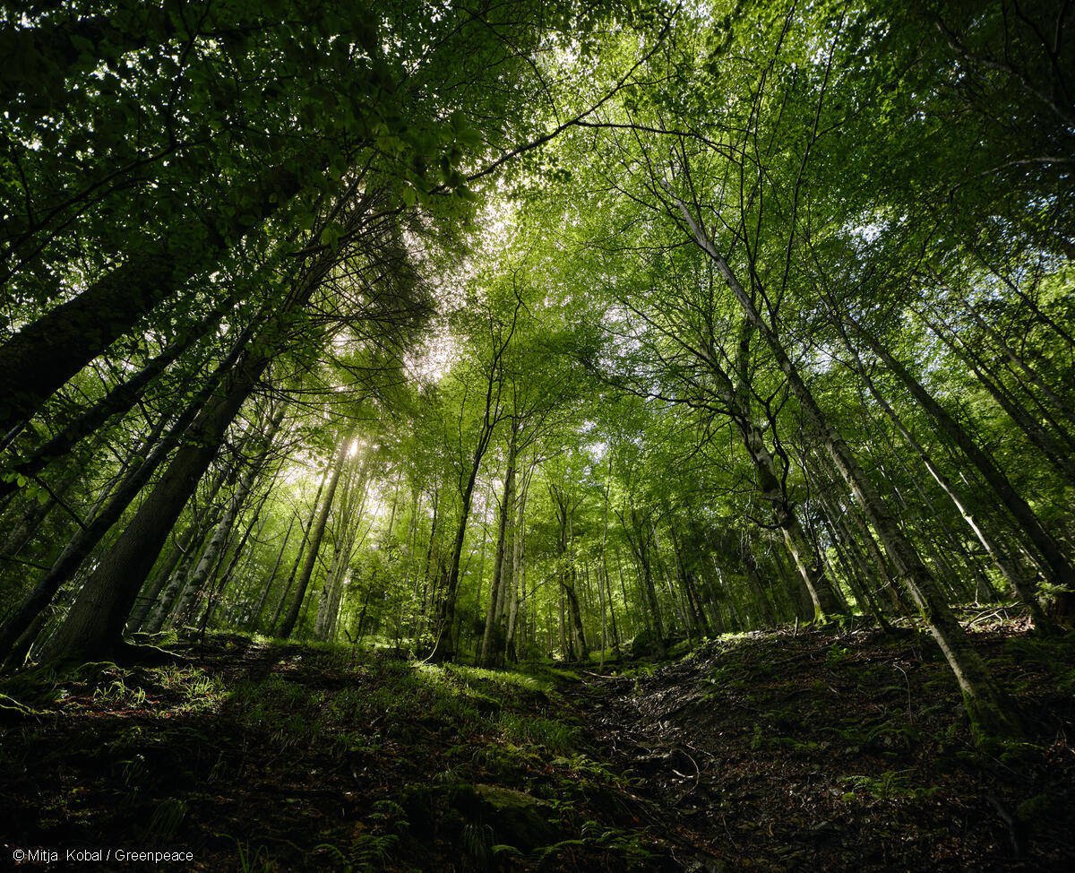 GP1STOX1_Medium res with credit line (1200px)