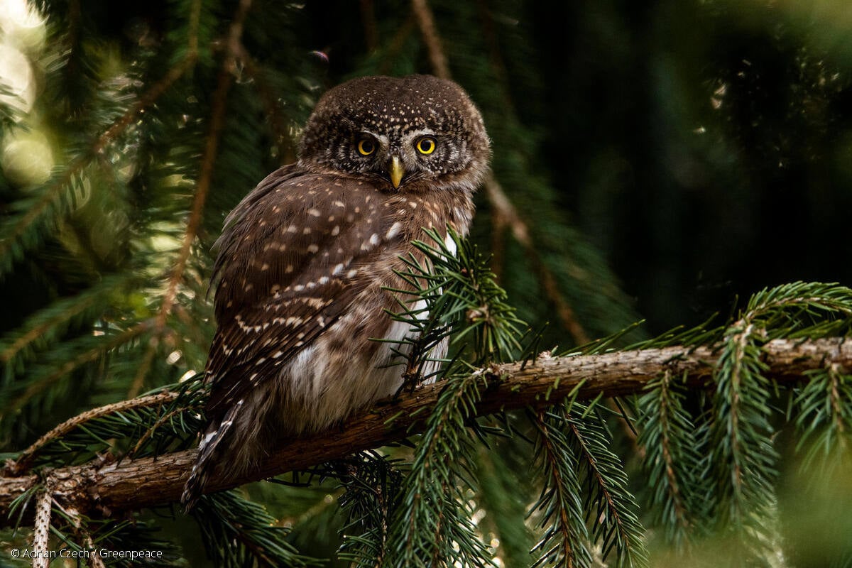 GP1T6X2I_Medium res with credit line (1200px)