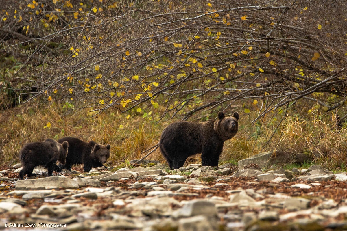 GP1T6X2P_Medium res with credit line (1200px)